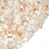 PLAFON LED JOU 50CM 36W 3000K DOURADO BRILHO - Image 5