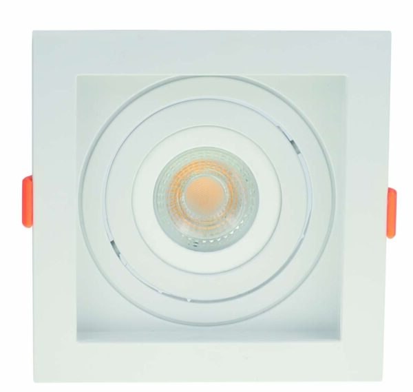 SPOT FLEA EMBUTIR PAR20 BR. - Image 4