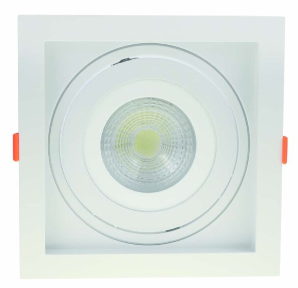 SPOT FLEA EMBUTIR PAR30 BR. - Image 4