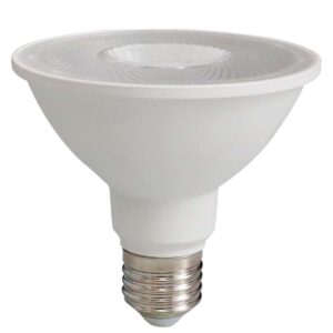 LAMPADA LED PAR38 38° 18W 4000K
